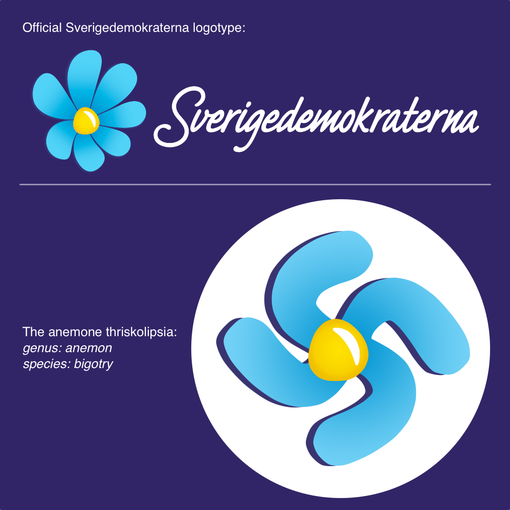 Comparison of the official Sverigedemokraterna icon and logotype. The icon is a light blue flower with 6 petals blowing in a clockwise direction with a yellow center. The SDstika removes 2 petals and extends the 4 remaining petals into a swastika shape. Text: The anemone thriskolipsia. Genus: anemon. Species: bigotry